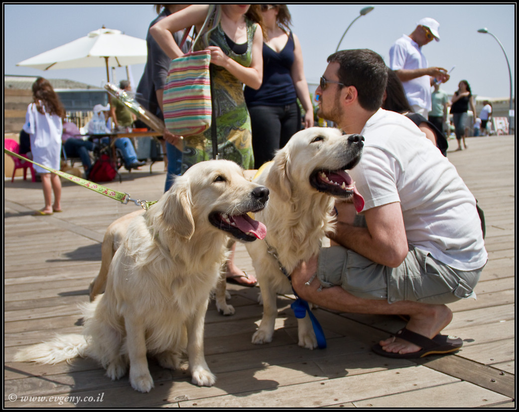 LookAtIsrael.com: Дома изнутри: ...и еще вопрос кто из нас неполноценен... (foto israel фото тель авив порт дома изнутри )