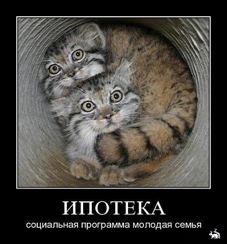 [clip_image039%255B4%255D.jpg]