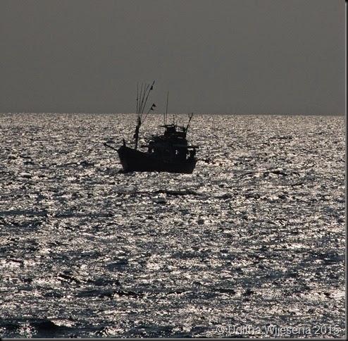 DSC_0450 DSC_0450