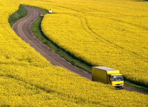 Nikon D800E Field Test with Nick Devlin