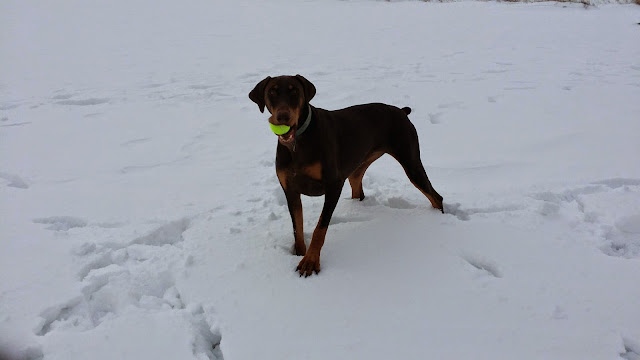 I got the ball! (Cell photo by Trisha)