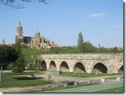IMG_6550 IMG_6550