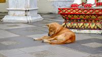 DSCF2206.JPG