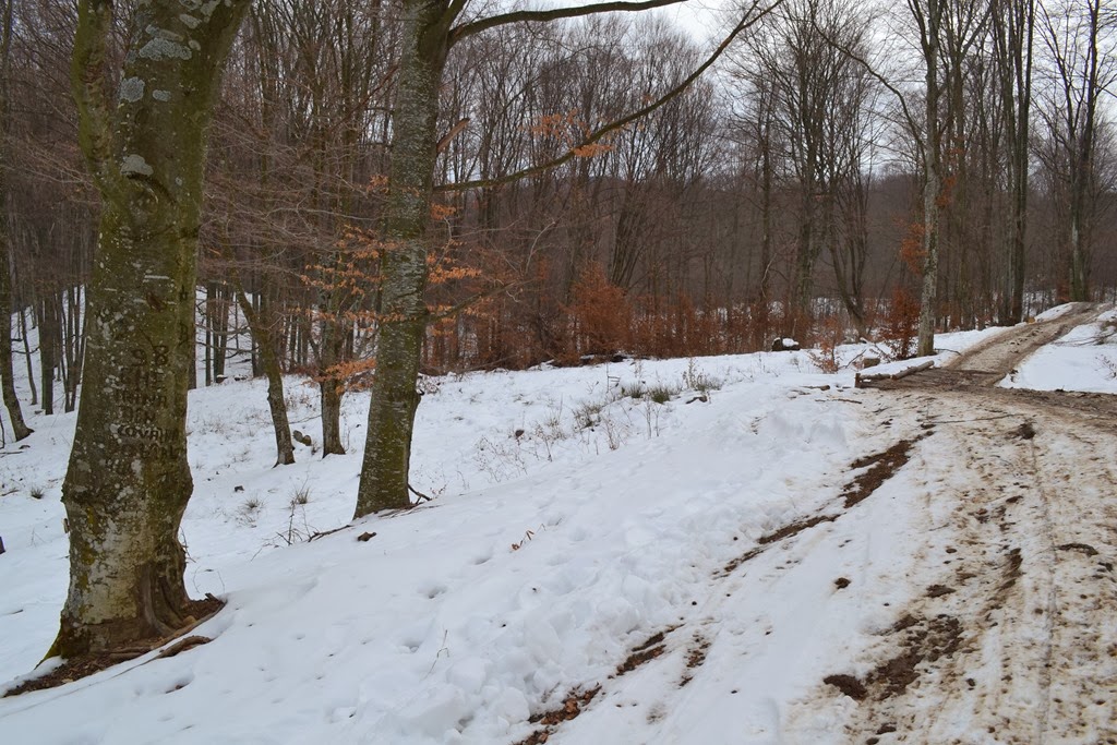 [DSC_19903.jpg]