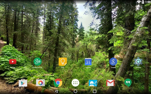 Panorama Wallpaper: Forest