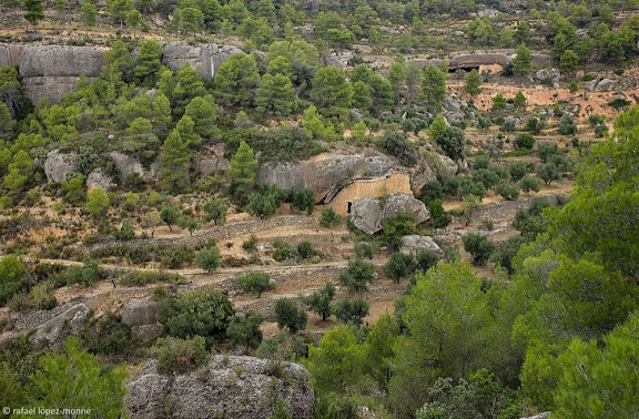 Antics bancals de conreu abandonats i una maset construït sota una balma al racó de les Pinedes, sota la punta de l'Ereta, Montsant, Parc Natural,Cabacés, Priorat, Tarragona