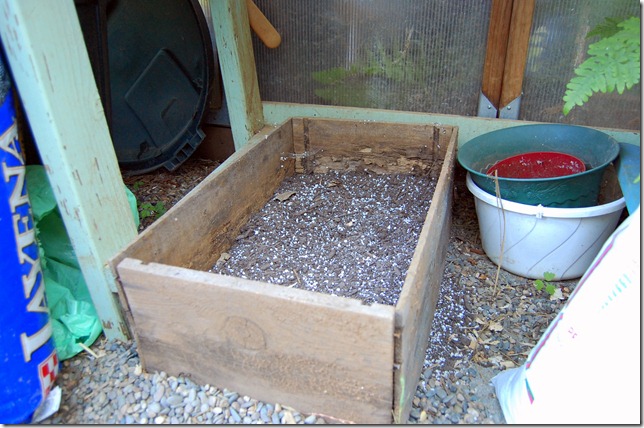 plantingboxbetter