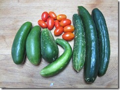 Cucumbers and Juliet tomatoes