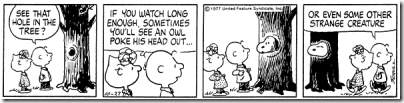 Peanuts 1977-10-27 - Snoopy as an owl