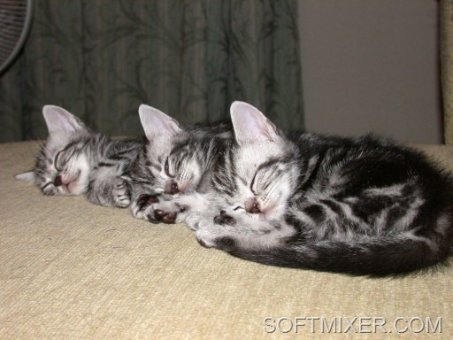 [5a96eb387a2ca92b67c8ae33aed1d92f%255B6%255D.jpg]