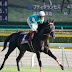 セラフィックロンプ号と宮崎北斗騎手
(DA 55-300mm F4-5.8ED)