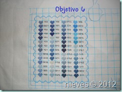 objetivo6