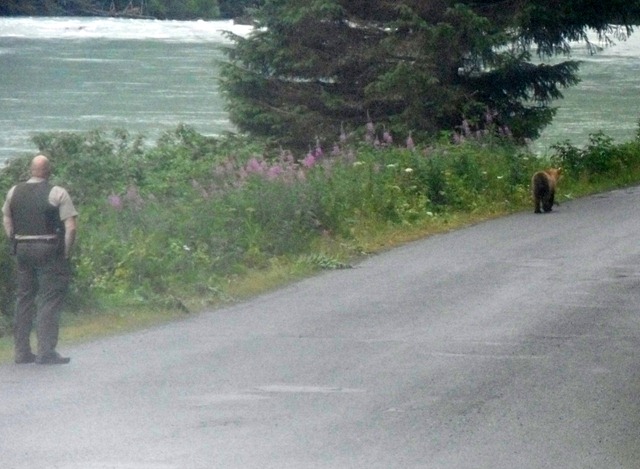 [SDC11855%255B3%255D.jpg]