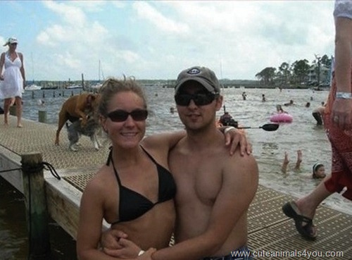50_Funniest_Animal_Photobombs_Of_All_Time_25