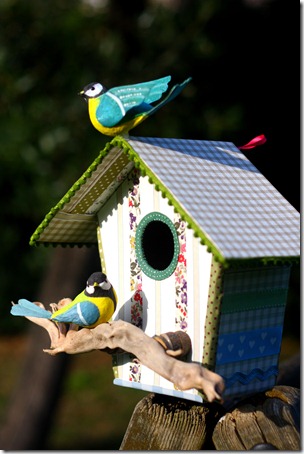 Bird house-005