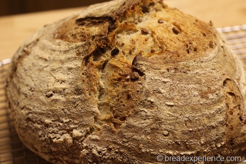 sourdough-seed-bread_1707