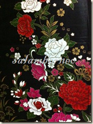 IMG_5678 IMG_5678