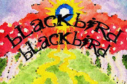 Blackbird Blackbird