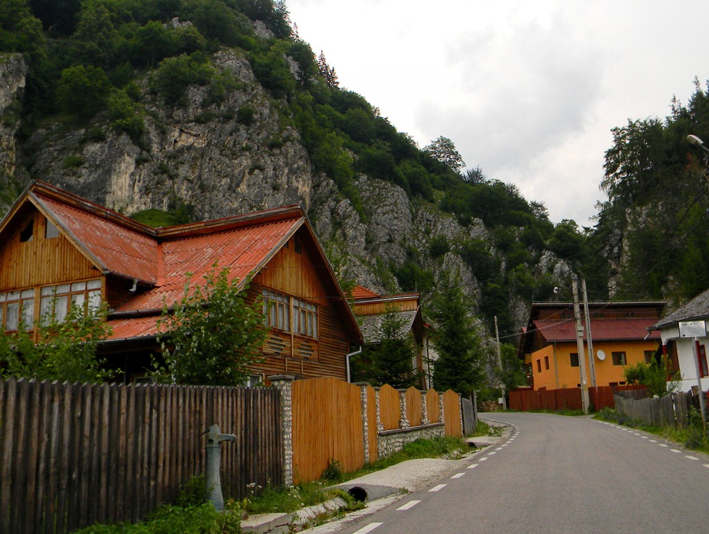 [DSCN29424.jpg]