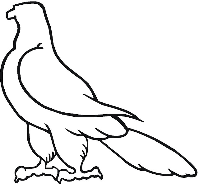 DIBUJOS DE HALCONES PARA COLOREAR dibujos-de-halcones-para-colorear