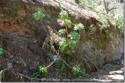 5649 Barranco de Crespo 5649 Barranco de Crespo