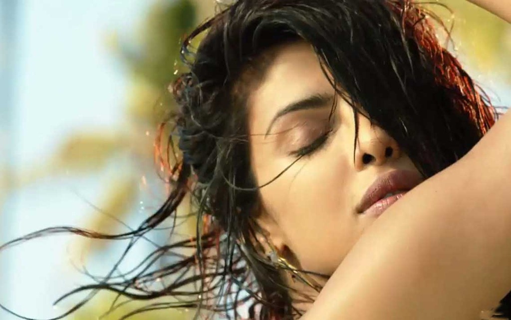 [priyanka%2520new%2520single%2520exotic%2520%25287%2529%255B4%255D.jpg]
