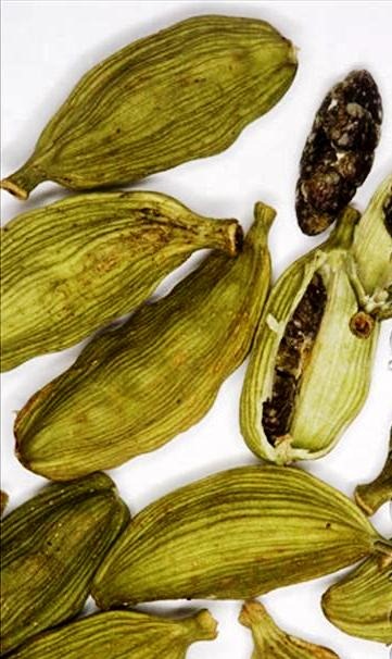 [Cardamomo1%255B3%255D.jpg]