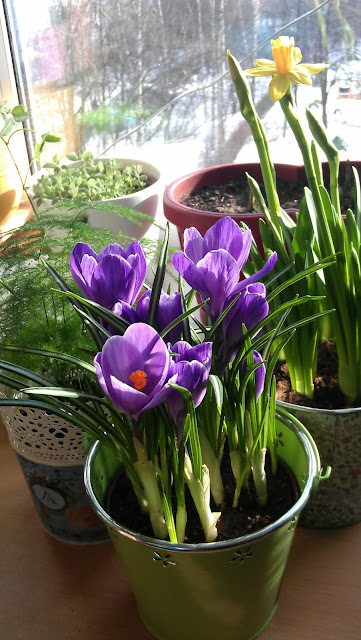 Мастерская ярких событий - Alexandra Deco - partydecoland - БЛОГ ...