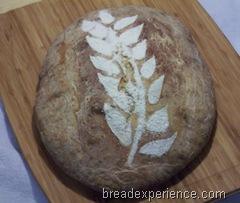 Maori-Bread 040