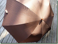 Umbrella2
