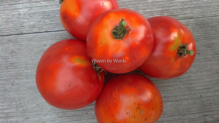 [Large-tomato9.jpg]