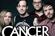 Cancer Bats