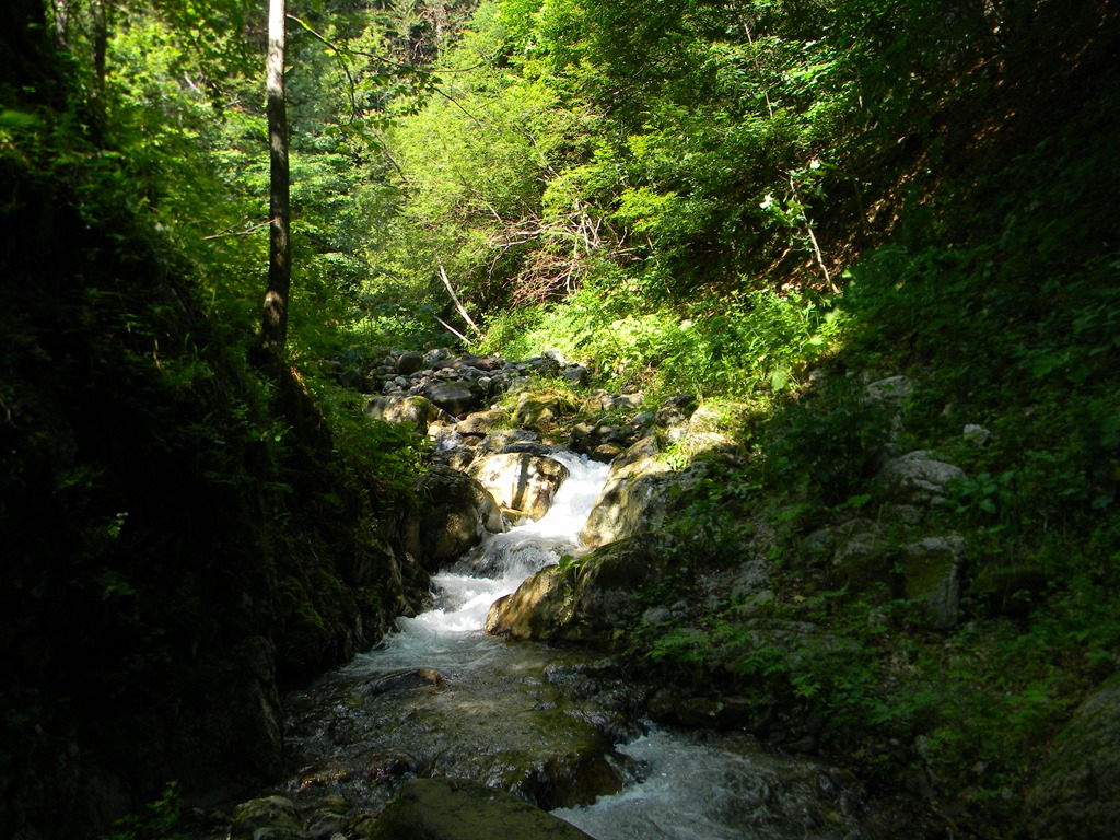 [DSCN32353.jpg]