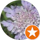 Image Google de Christine Anstett