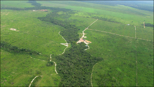 An image taken from a plane over Brazil's Maranhao state in 2012 shows the contrast between what little remains of the rainforest there and vast areas that have been razed. Photo: Vincent Bevins / LA Times