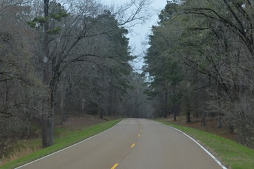 dark and dreary day on the Natchez Trace