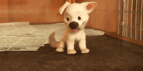 la-cachorro-15.gif
