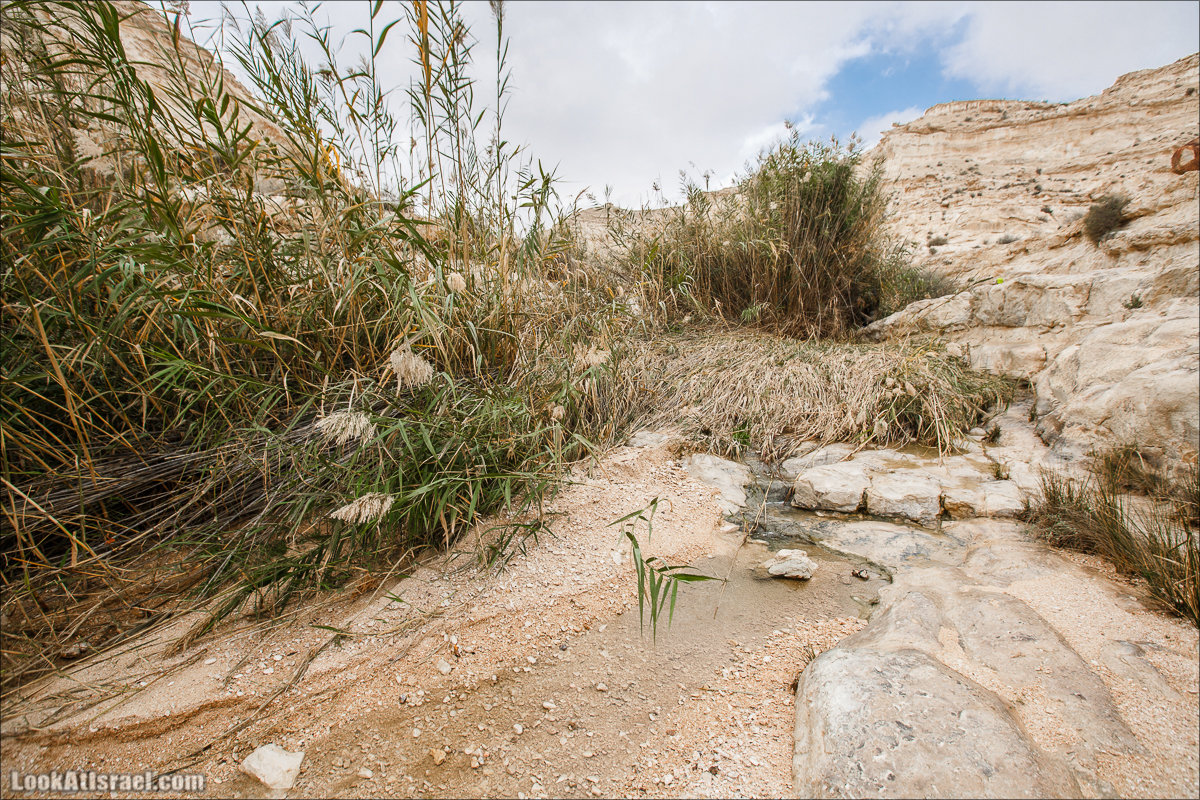Ручей Акев и источник Эйн Акев в пустыне Негев. LookAtIsrael.com - Фото путешествия по Израилю