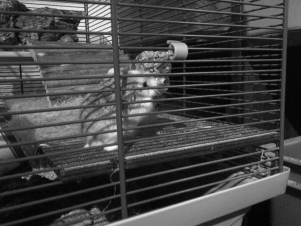 [IMG-20110717-00181%2520-%2520Kopie%255B6%255D.jpg]