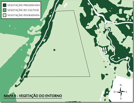 MAPA 9 - Vegetao do entorno