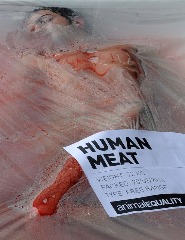day-without-meat-7 day-without-meat-7