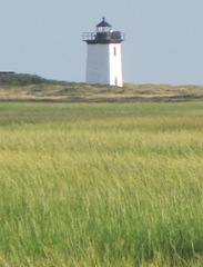 Provincetown Lighthouse taken across the marsh1