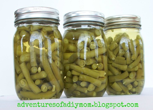 Canning Green Beans (13)