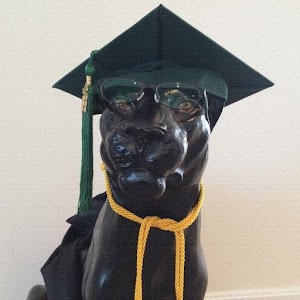 Network+ Evaluator 1.0