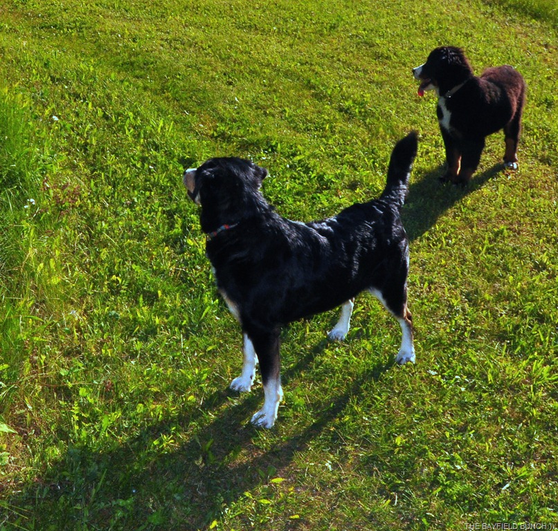 [DSC_0035%255B3%255D.jpg]