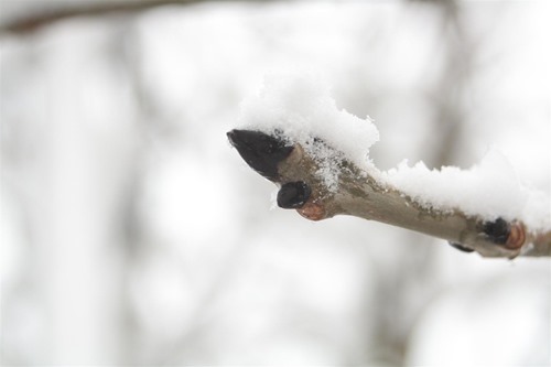 20101217 (1) (Large)