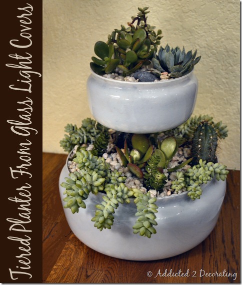 DIY Project, indoor succulent garden planter, turn outdated glass light covers into a two-tiered indoor tabletop planter
