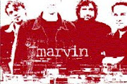 Marvin