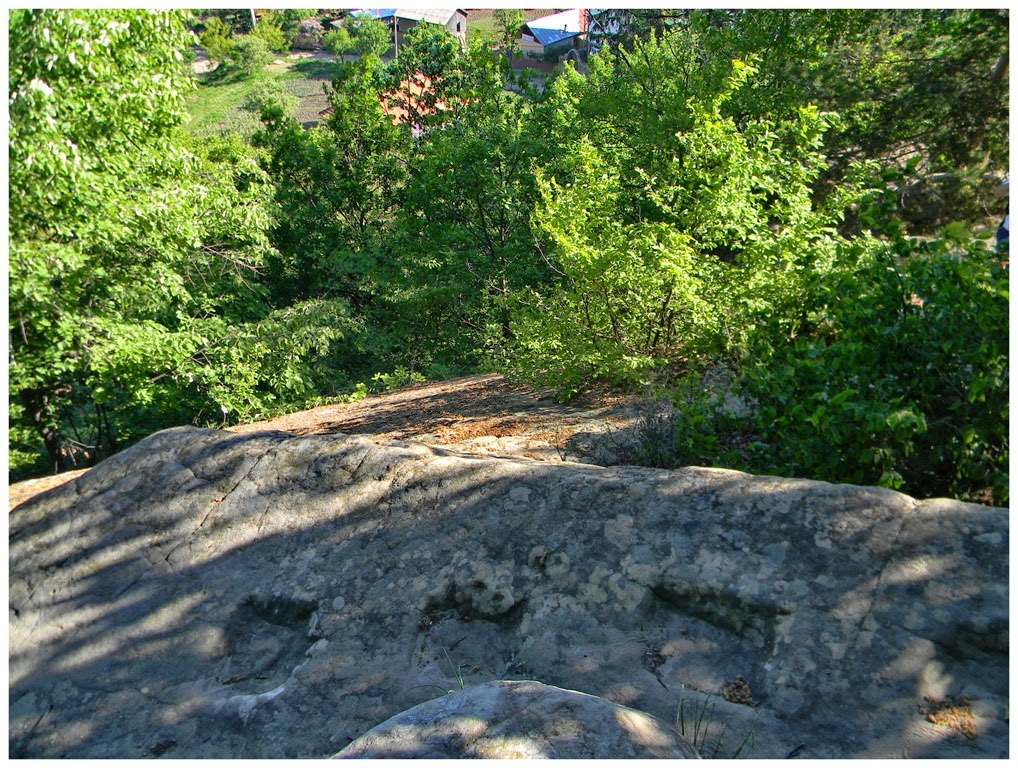 [DSCN95297.jpg]