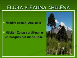 flora y fauna chilena (20)